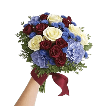 Crimson Rose Elegance