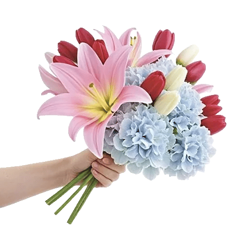 Blossom Harmony Display