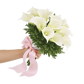 Elegant Calla Lilies