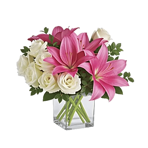 Minimalist White Orchids