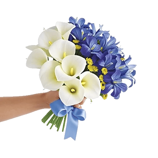 Elegant Calla Lilies