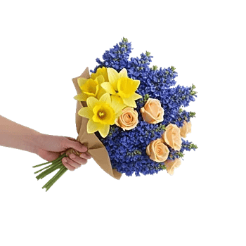 Blossom Harmony Display