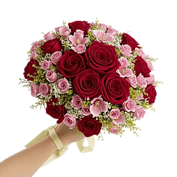 Crimson Rose Elegance