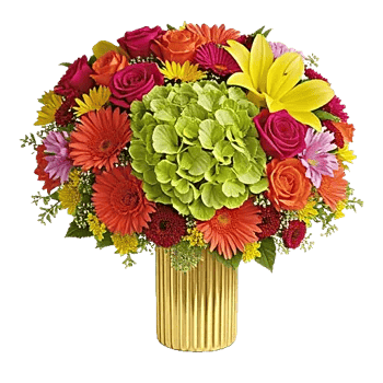 Petal Radiance Bliss