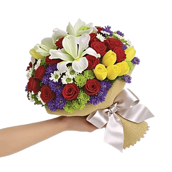Ivory Garden Grace