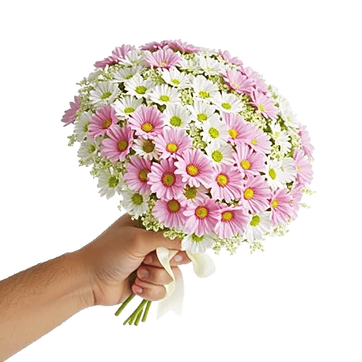 Ivory Blossom Radiance