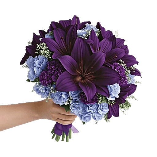 Sapphire Bloom Whisper