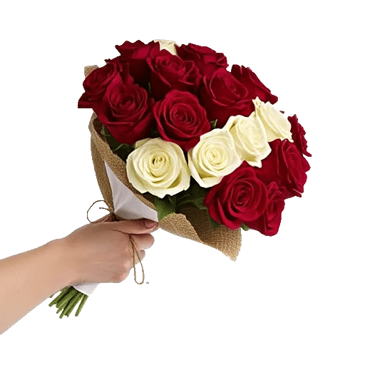 Crimson Rose Elegance