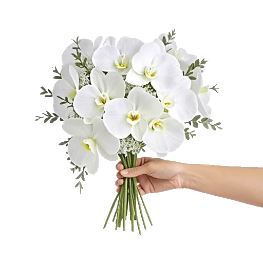 Minimalist White Orchids