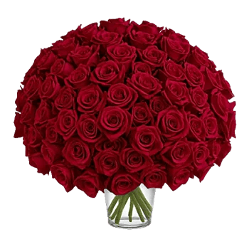 Crimson Rose Elegance