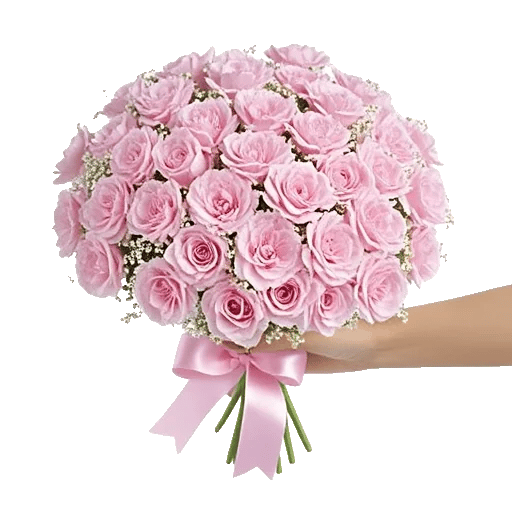 Pastel Pink Roses