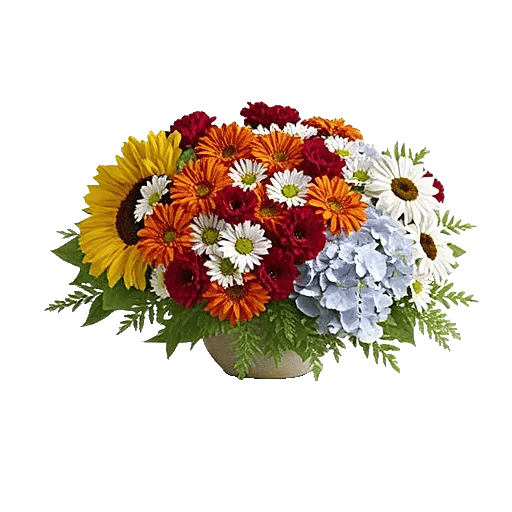 Radiant Bloom Cascade