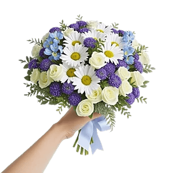 Blossom Petal Serenity