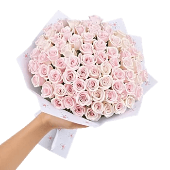 Pink Pastel Roses