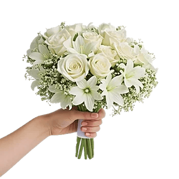 Ivory Blossom Radiance