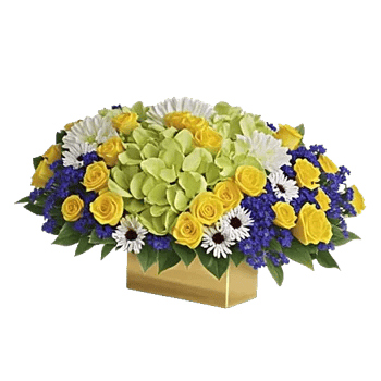 Serene Petal Harmony