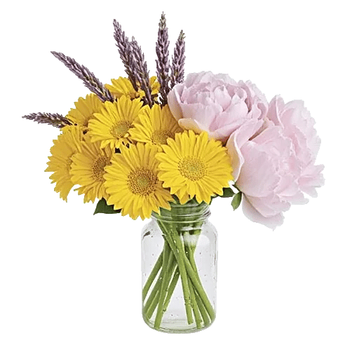 Petal Radiance Bliss