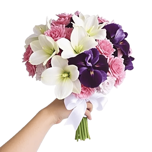 Serenity Orchid Bloom