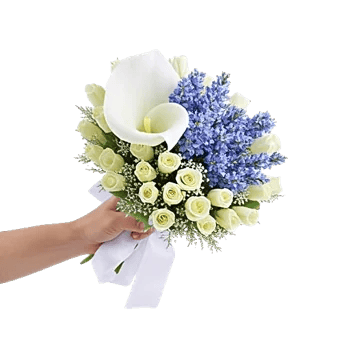 Elegant Calla Lilies