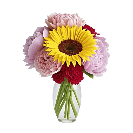 Petal Radiance Bliss