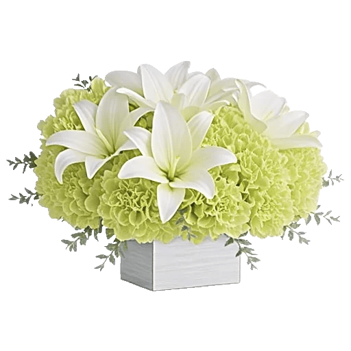 Graceful Lily Display