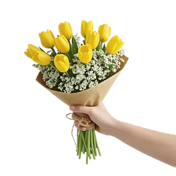 Tulip Rose Mix