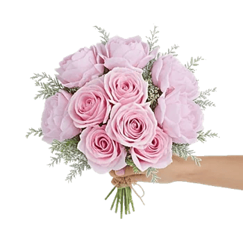 Pastel Pink Roses