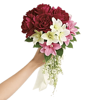 Delicate Petal Cascade