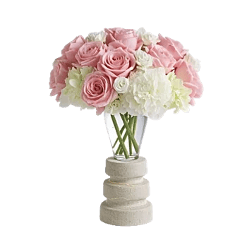 Ivory Blossom Radiance