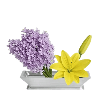 Graceful Lily Display