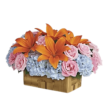 Blossom Glow Symphony