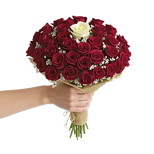 Crimson Rose Elegance