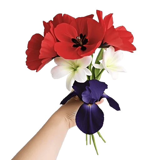 Crimson Blossom Harmony