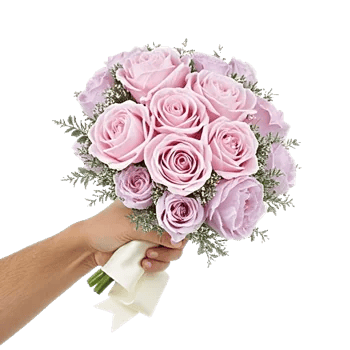 Pastel Pink Roses