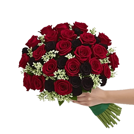 Crimson Rose Elegance