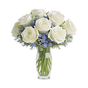 Delicate Petal Cascade