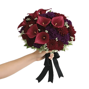 Elegant Calla Lilies