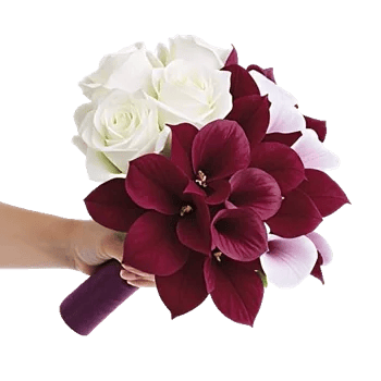 Blushing Rose Symphony