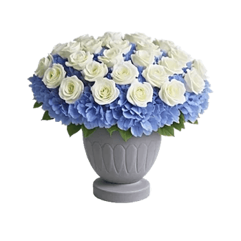 Elegant Blue Roses