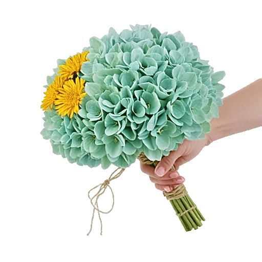 Serene Petal Harmony