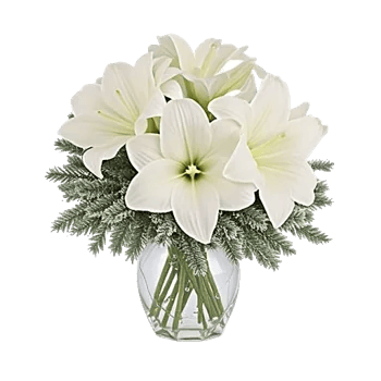 Ivory Blossom Radiance