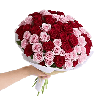 Crimson Rose Elegance