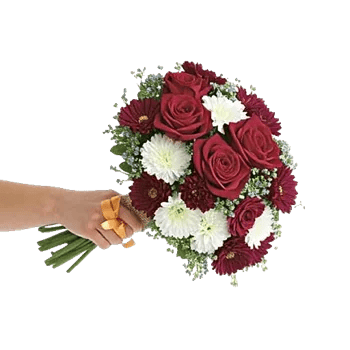 Blushing Rose Symphony