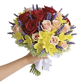 Blushing Rose Symphony