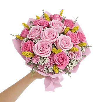 Pastel Pink Roses