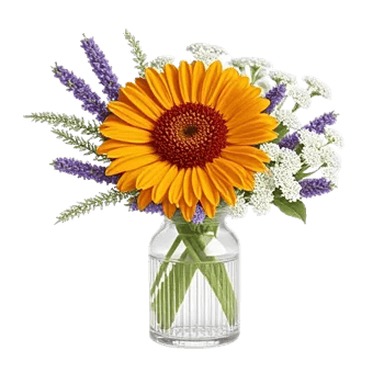 Petal Radiance Bliss