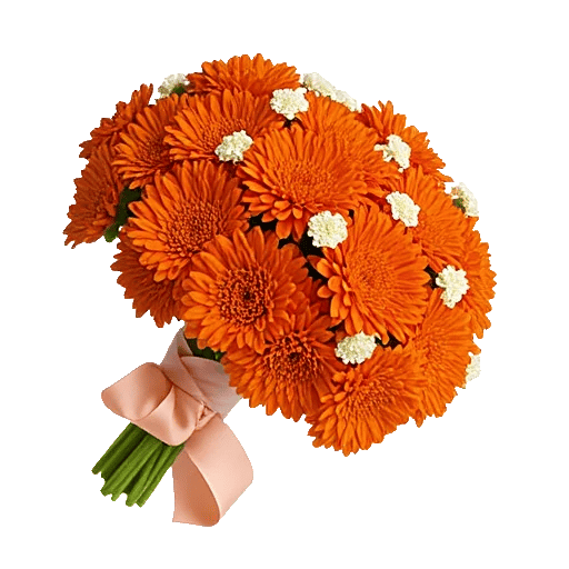 Vibrant Orange Delight