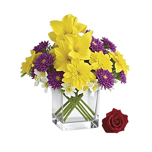 Petal Radiance Bliss