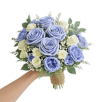 Elegant Blue Roses