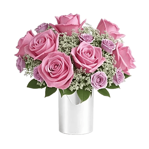 Pink Pastel Roses